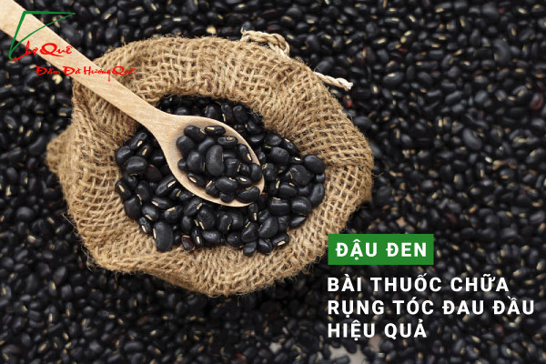 Đậu đen - bài thuốc chữa rụng tóc, đau đầu hiệu quả